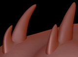 Medium Horn Set 11
