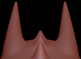 Large Horn Set 4