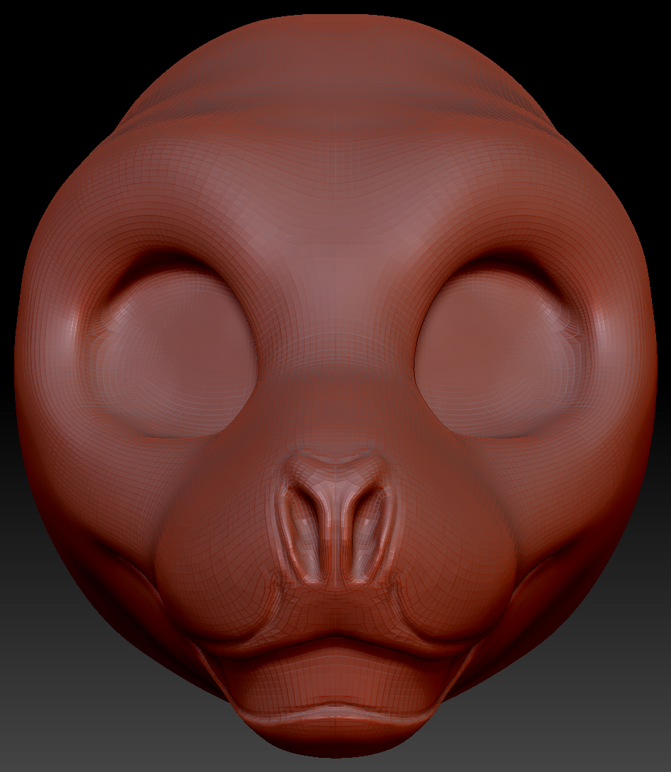 Gender Neutral California Sea Lion Static Jaw Head Base