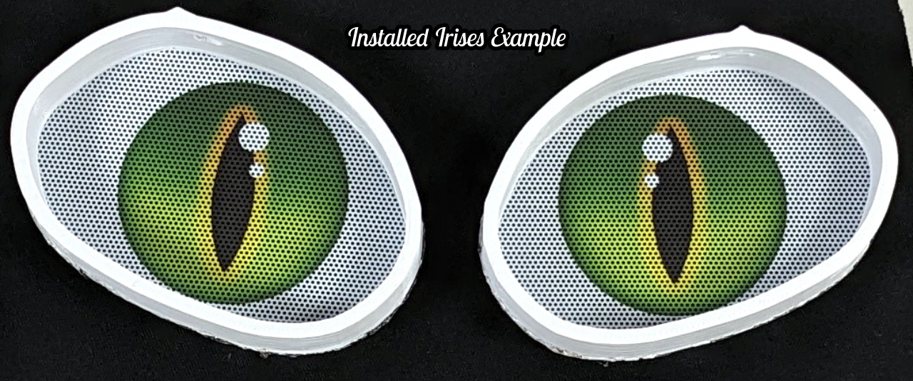 Gender Neutral Persian Cat Head Base