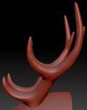 XX-Large Horn Set 23
