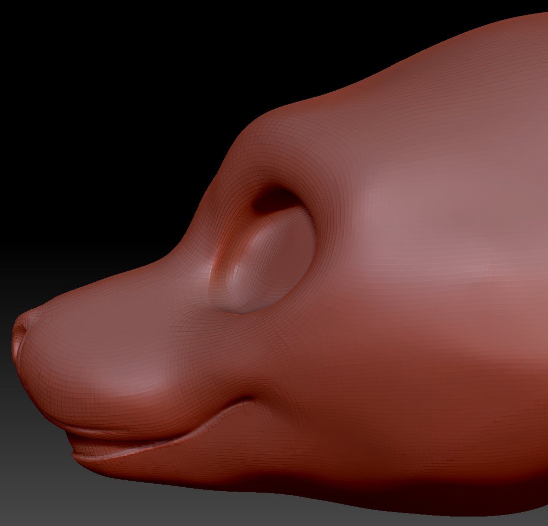 Gender Neutral California Sea Lion Static Jaw Head Base Variant 1