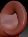 XX-Large Horn Set 22