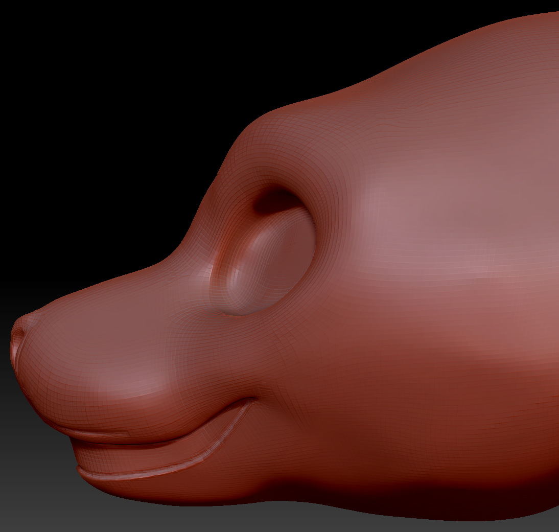 Gender Neutral California Sea Lion Static Jaw Head Base