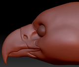 Realistic Harris Hawk Head Base