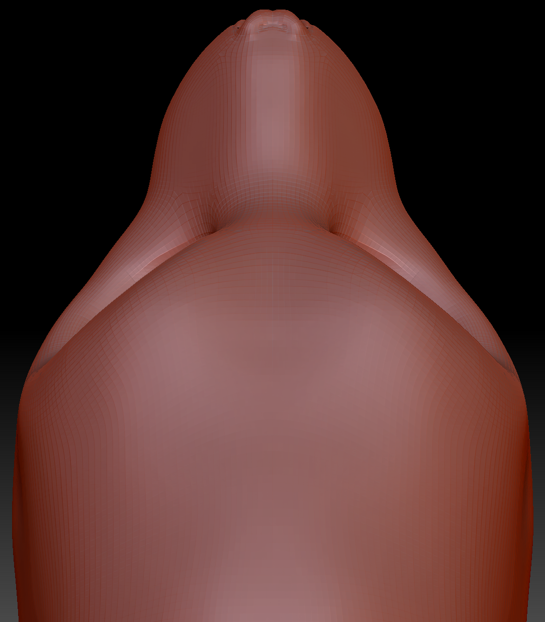 Gender Neutral California Sea Lion Static Jaw Head Base Variant 1