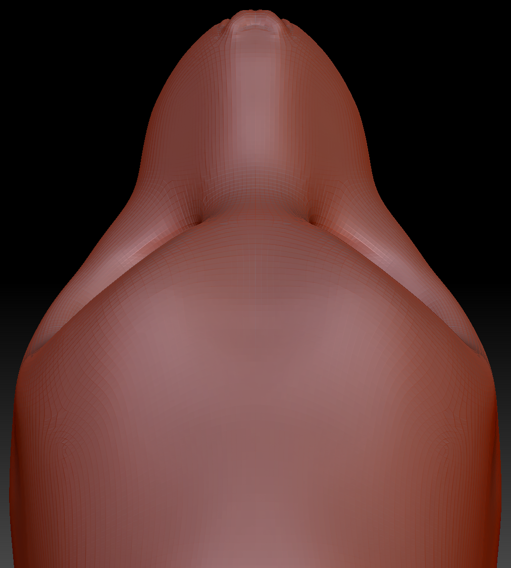 Gender Neutral California Sea Lion Static Jaw Head Base