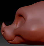 Nose Horn 4