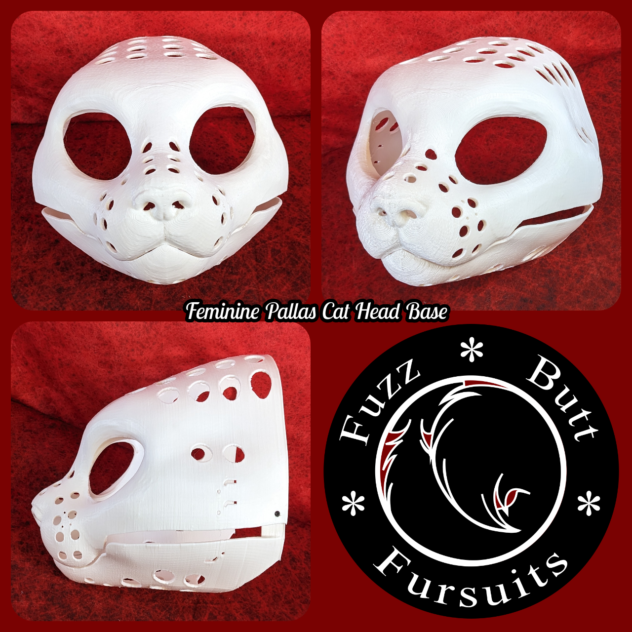 Feminine Pallas Cat Head Base