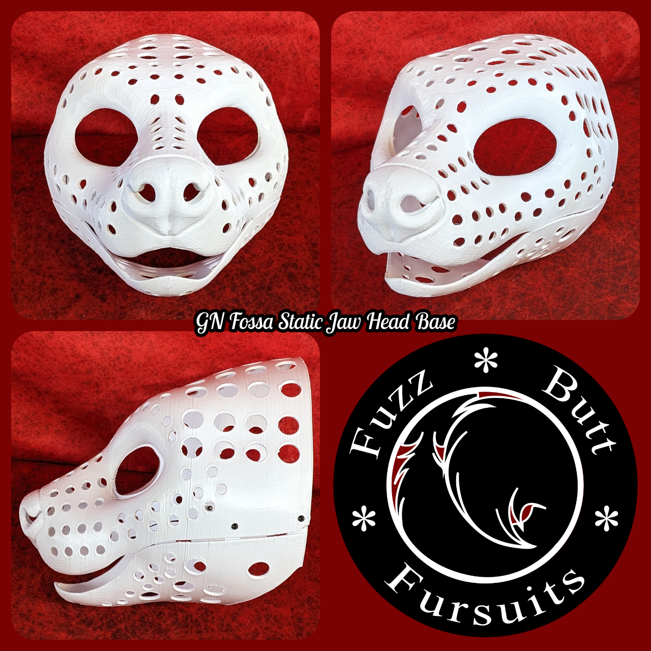 Gender Neutral Fossa Static Jaw Head Base