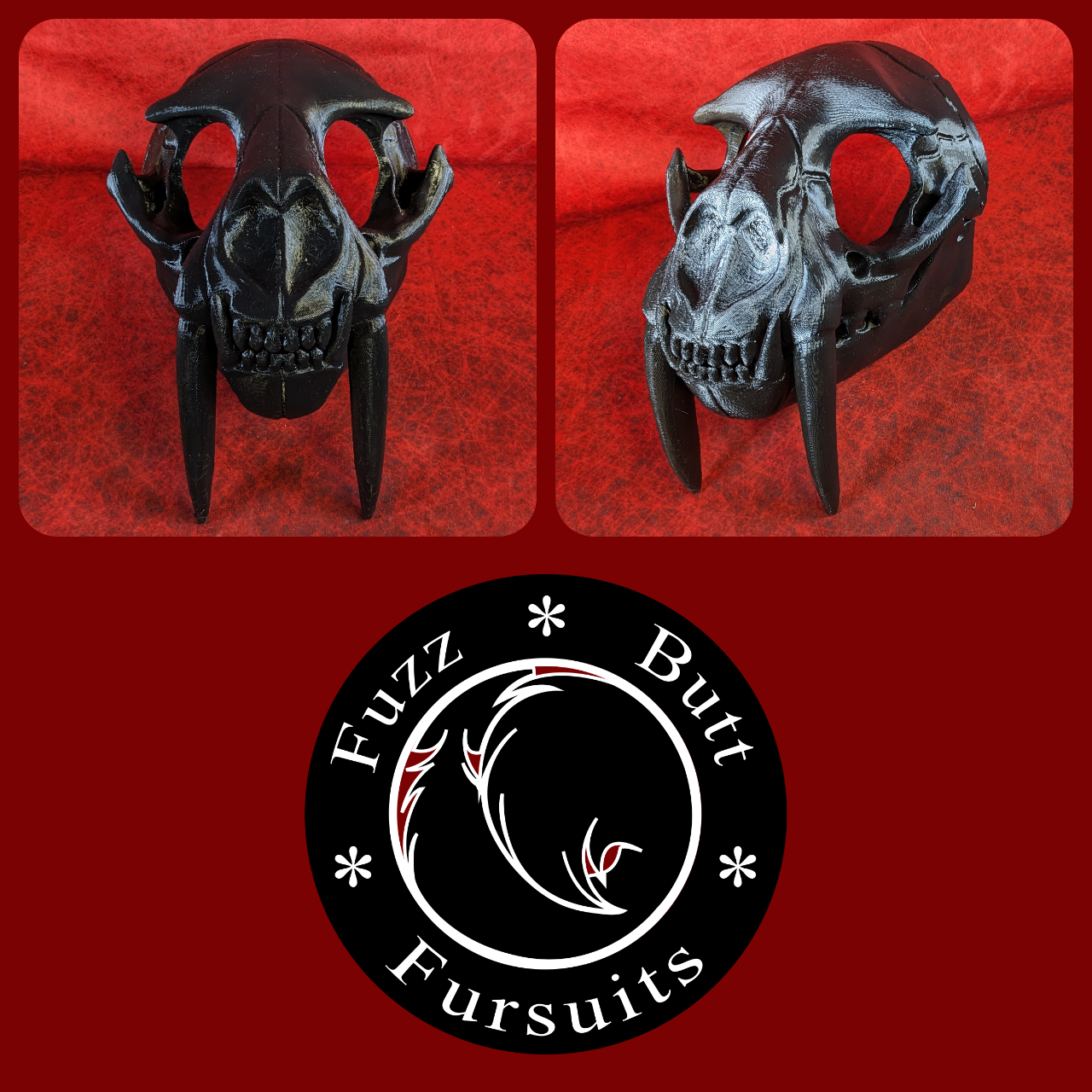 Large Saber Feline Skull