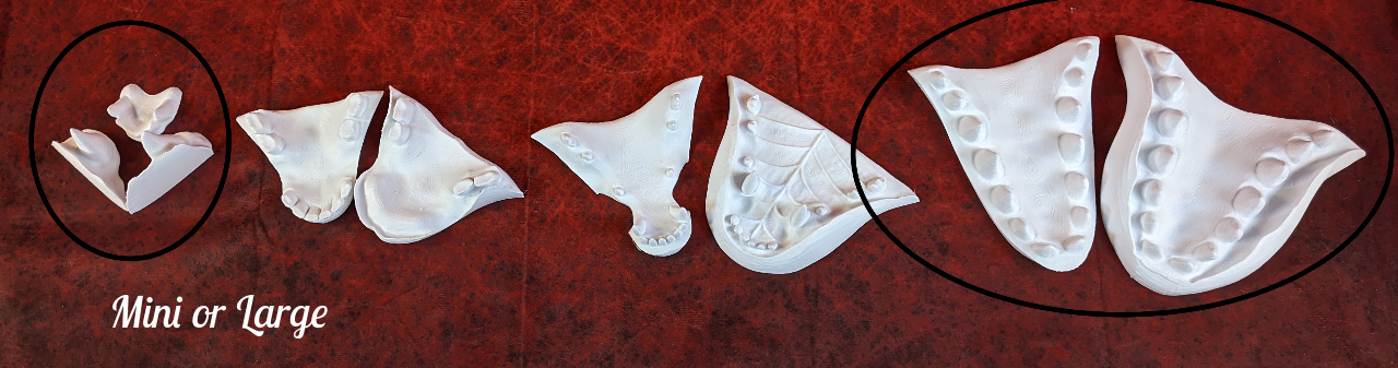 Feminine Toony Angel Dragon Head Base Variant 2