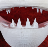 Small Alligator Realistic Style Jawset
