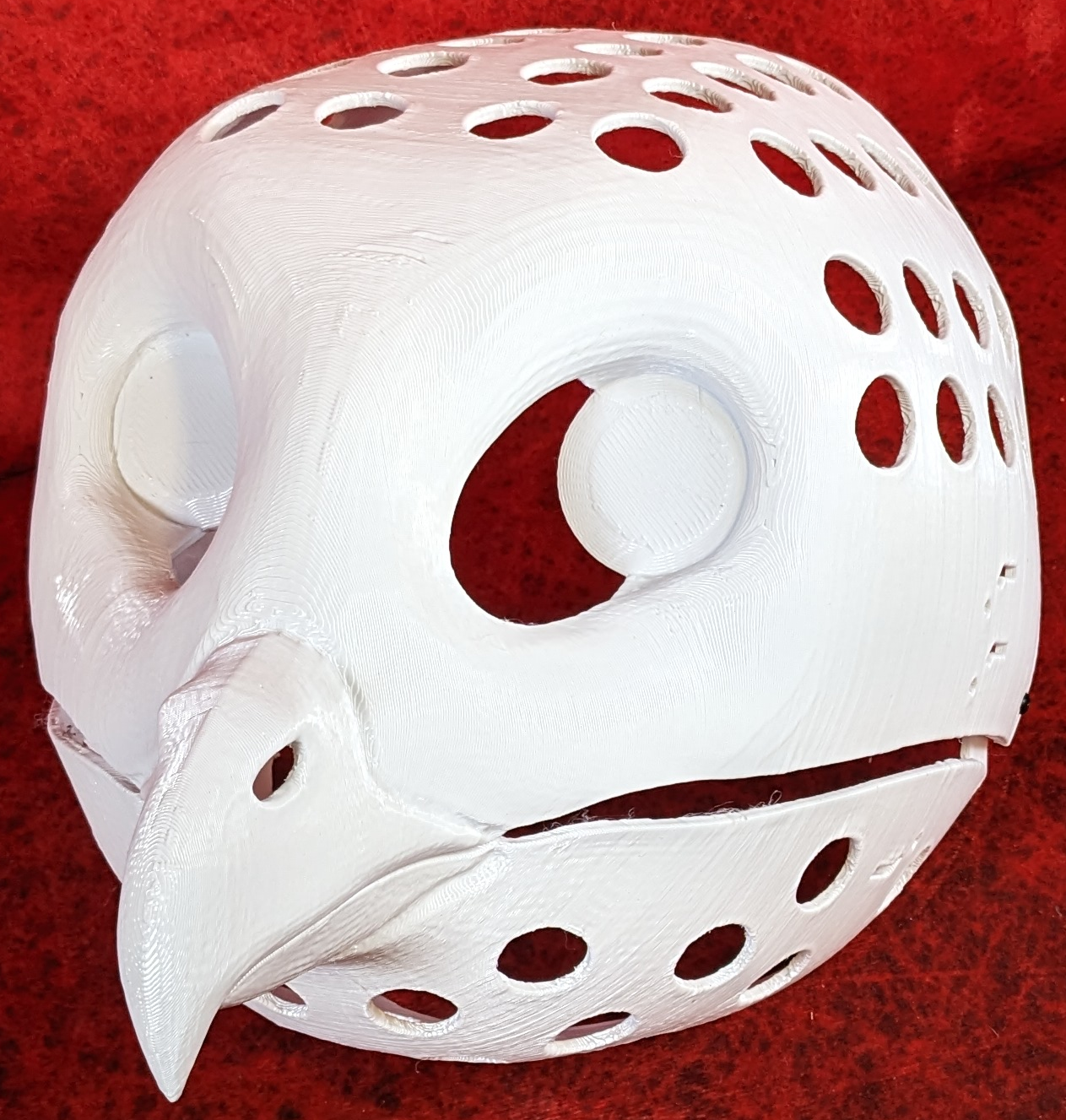 Realistic Barn Owl Head Base