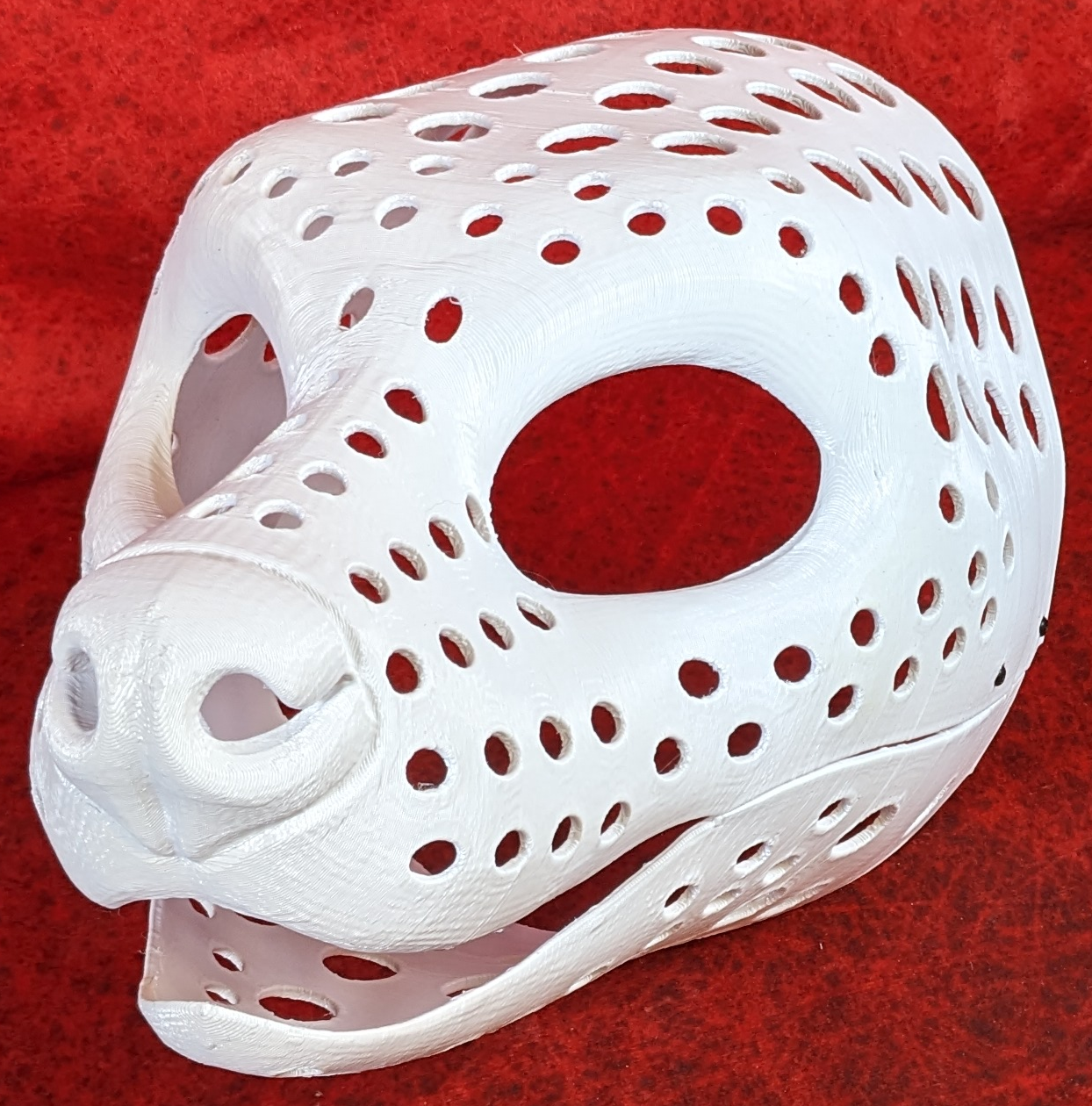 Gender Neutral Fossa Static Jaw Head Base