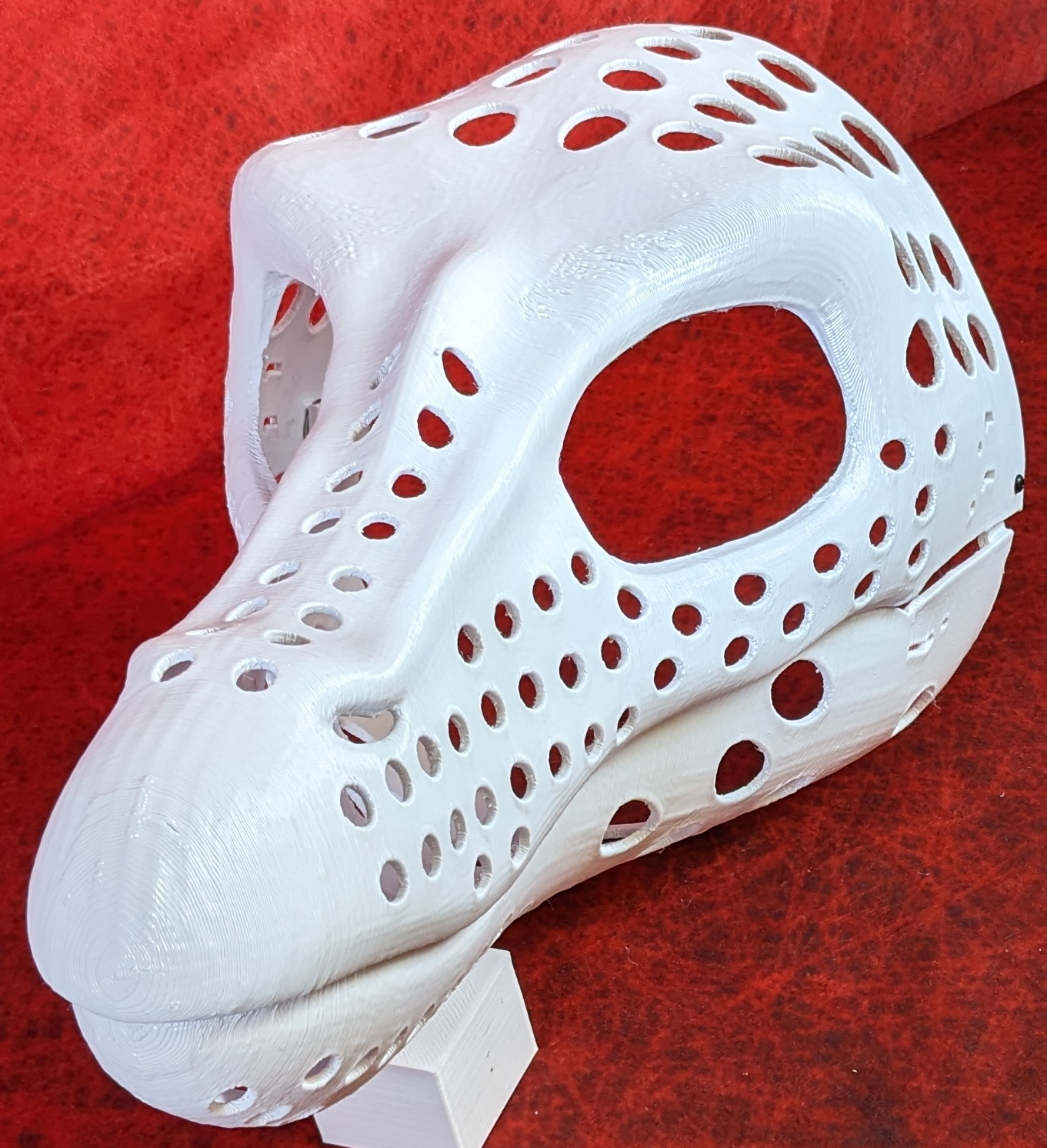 Gender Neutral Baryonyx Head Base