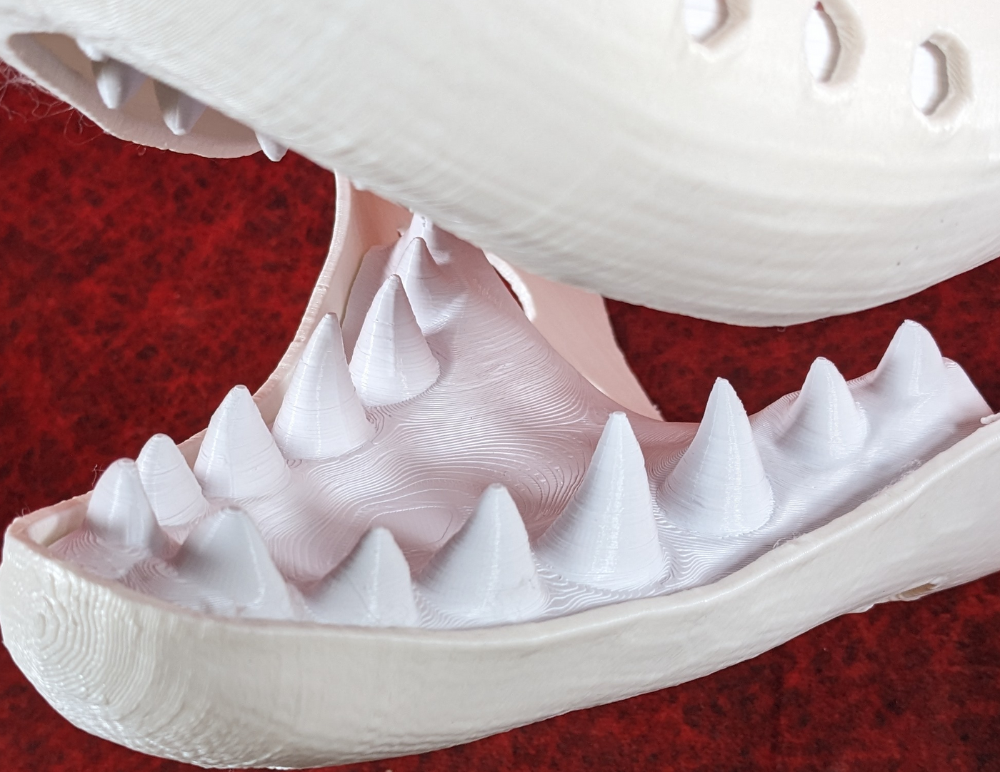 Large Shark Jawset