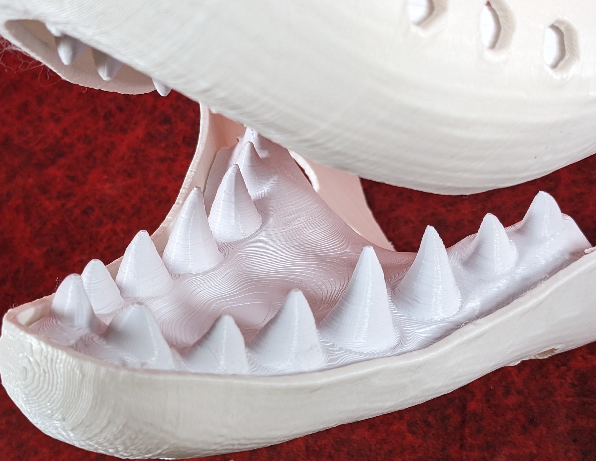 Large Shark Jawset