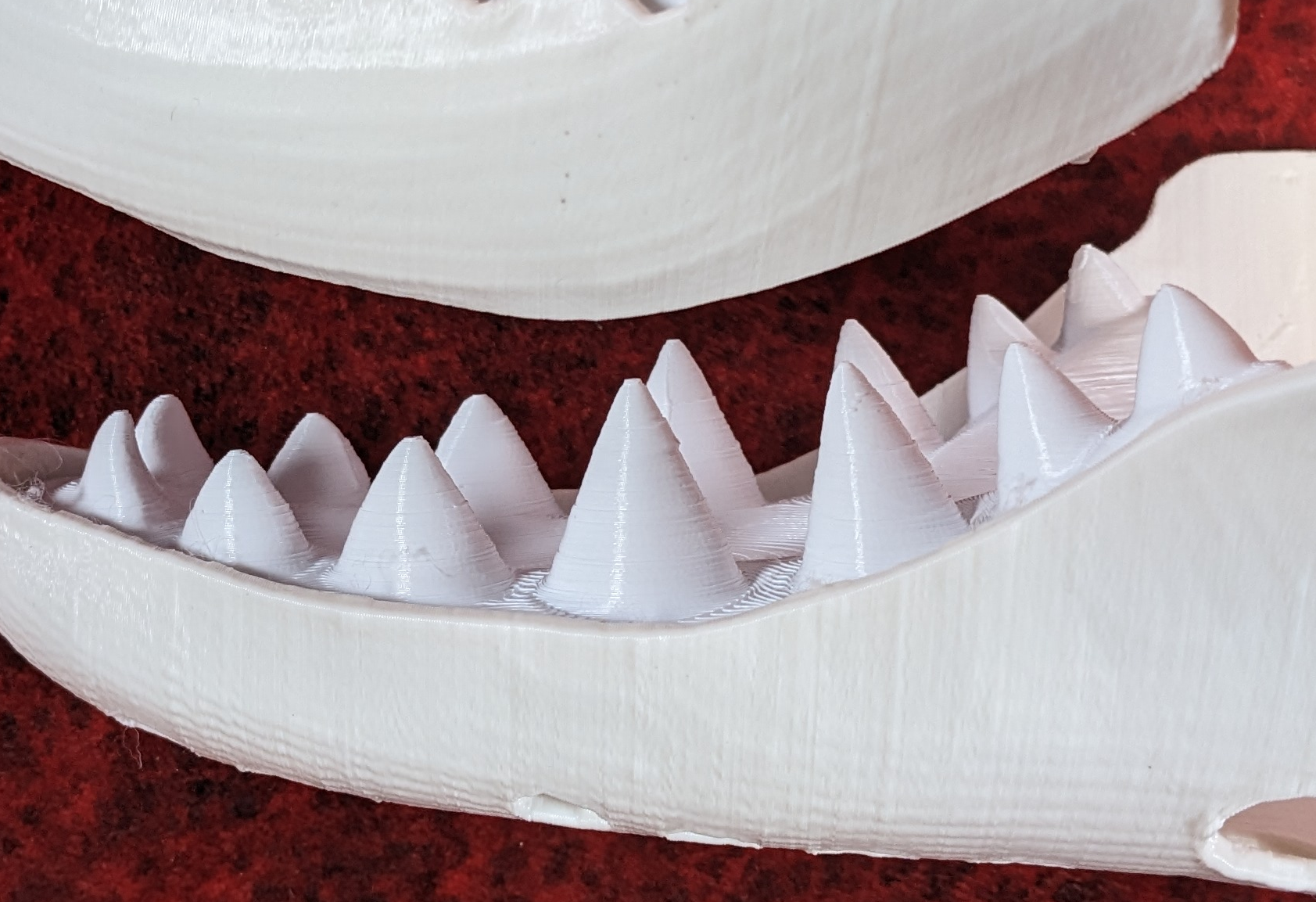 Large Shark Jawset