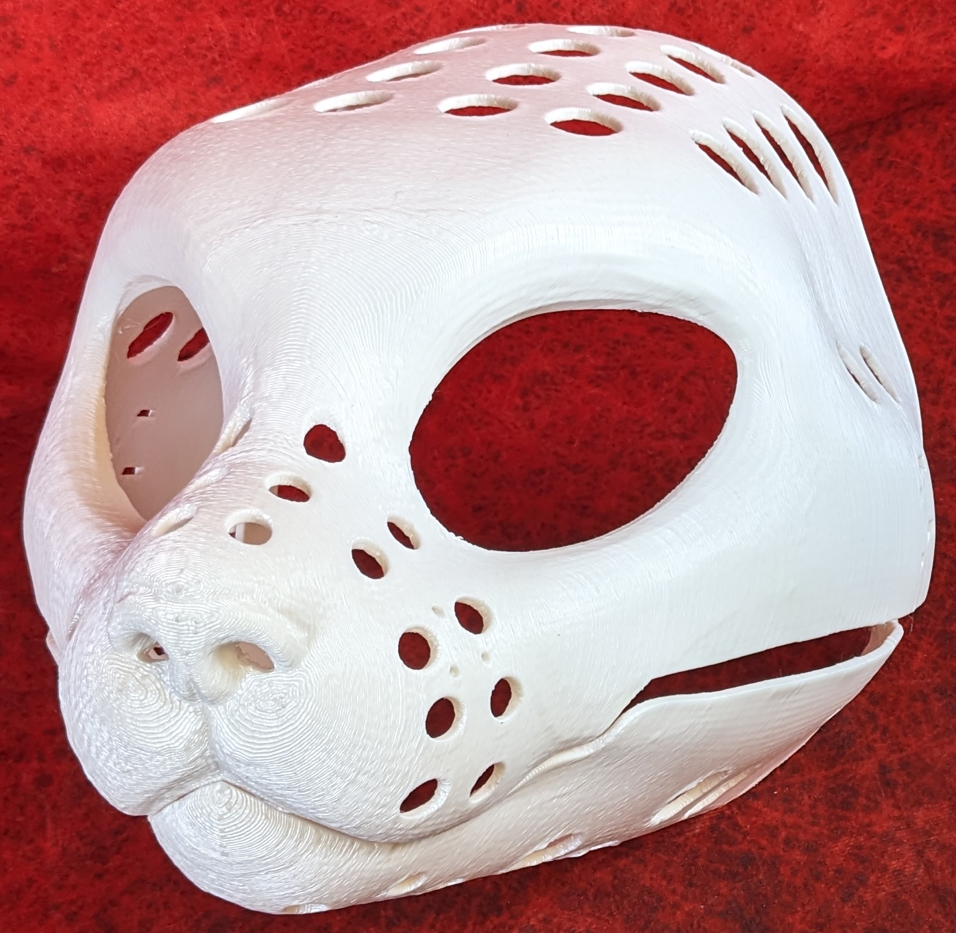 Feminine Pallas Cat Head Base