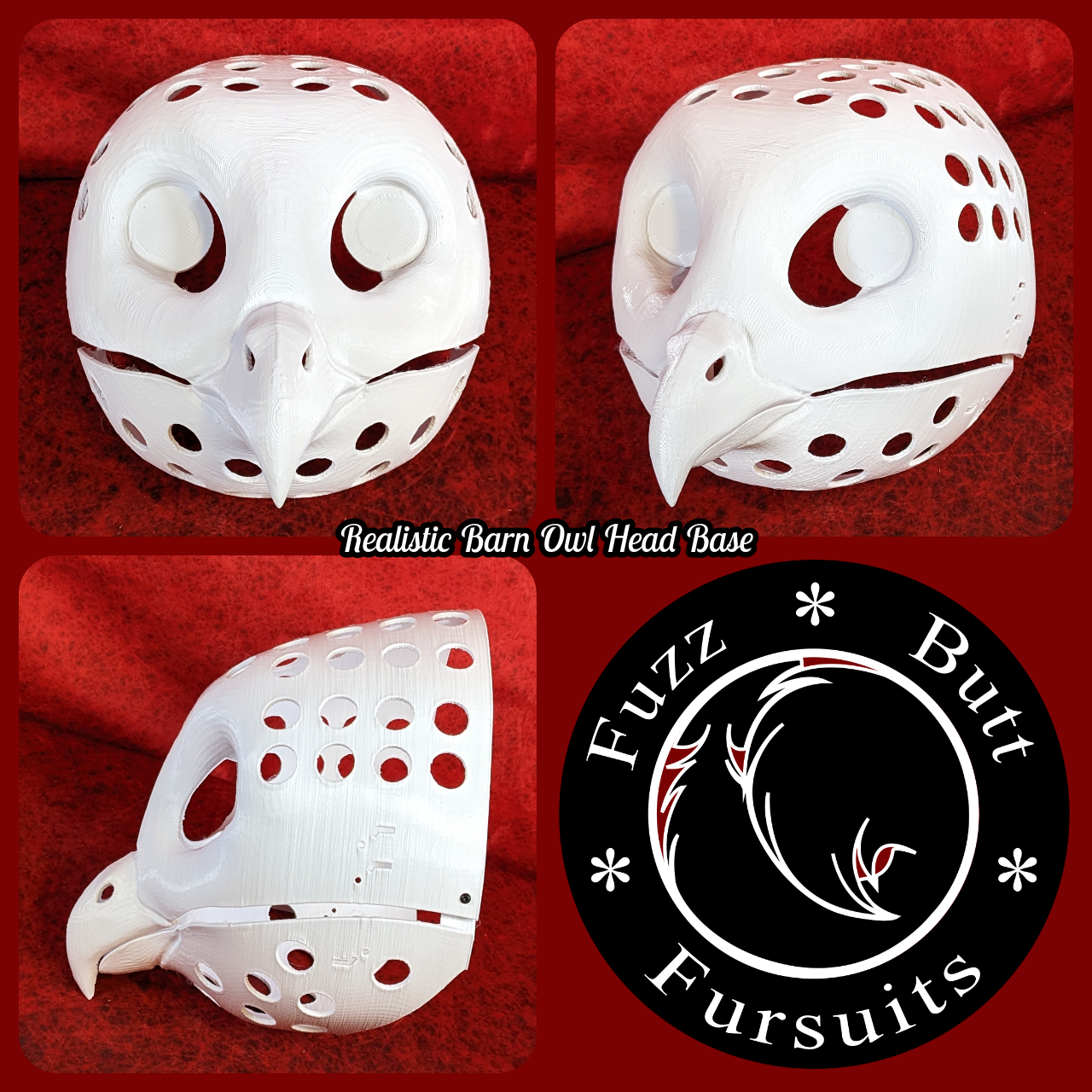 Realistic Barn Owl Head Base