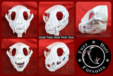 Small Feline Skull