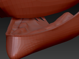 Large Sergal Palate