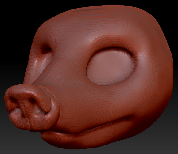 Gender Neutral Coatimundi Head Base