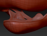 Small Angel Dragon Palate