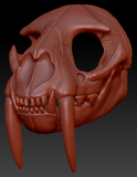 Large Saber Feline Skull