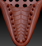 Medium Raptor Realistic Style Jawset