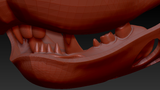 Medium Cabbit Jawset