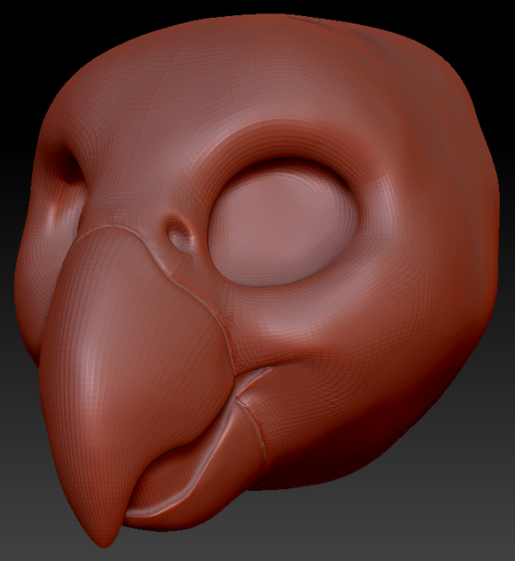 Gender Neutral Quaker Parrot Static Jaw Head Base