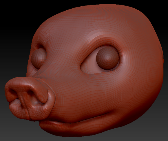 Realistic Coatimundi Head Base