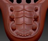 Medium Vernid Toony Style Jawset