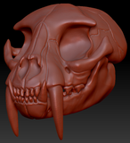 Small Saber Feline Skull