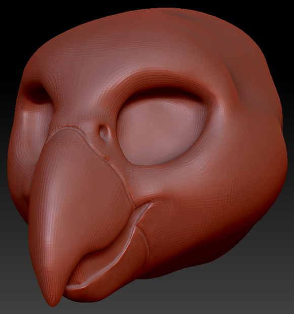 Feminine Quaker Parrot Static Jaw Head Base