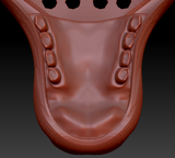 Medium Herbivore Realistic Style Jawset