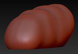 Medium Bird Foam Toe