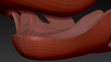 Small Shark Palate
