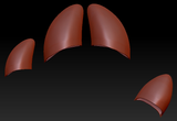 4 Finger Hoof Cap Set