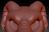 XX-Large Horn Set 10