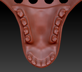 Medium Herbivore Realistic Style Jawset