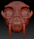 Small Saber Feline Skull