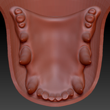 Medium Vernid Toony Style Jawset