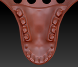 Medium Horse Jawset Realistic Style 2