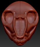 Bovine/Cervine Skull