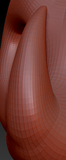 Nose Horn 1