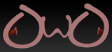 OwO Glasses W/ Arms