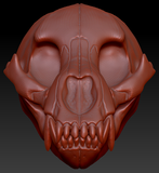 Bear Skull